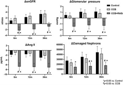 Predicting chronic responses to calcium channel blockade with a virtual population of African Americans with hypertensive chronic kidney disease